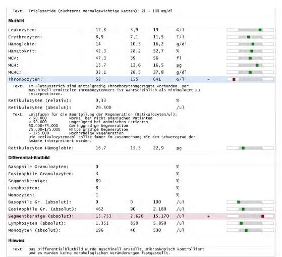 Blutbild1_SCS2.JPG