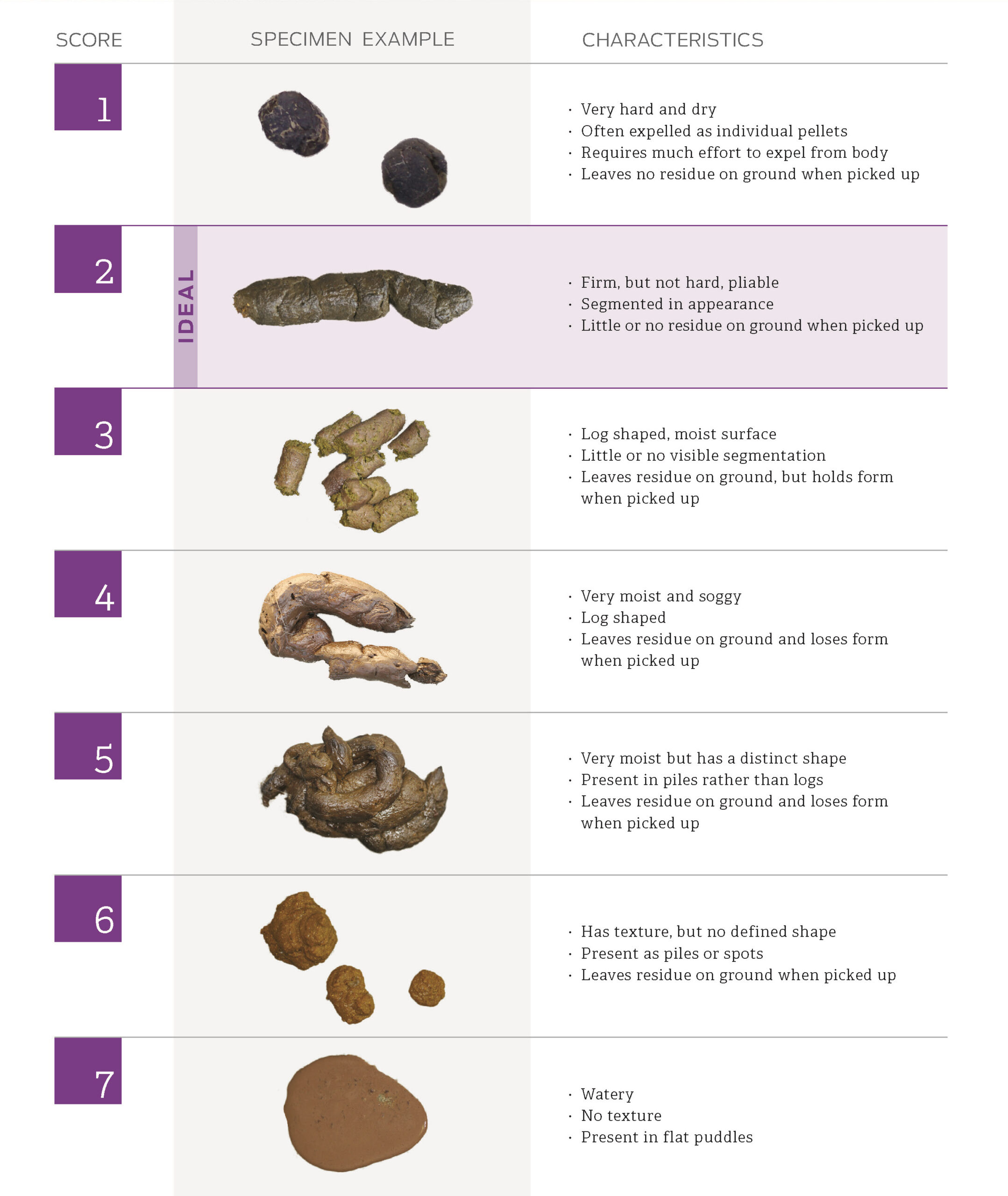 Fecal-scoring-chart-without-header-scaled.jpg