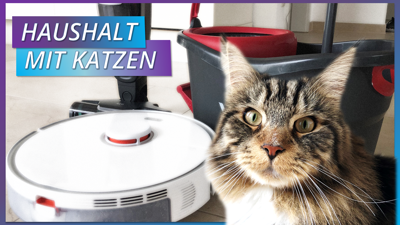 HAUSHALT MIT KATZEN.png