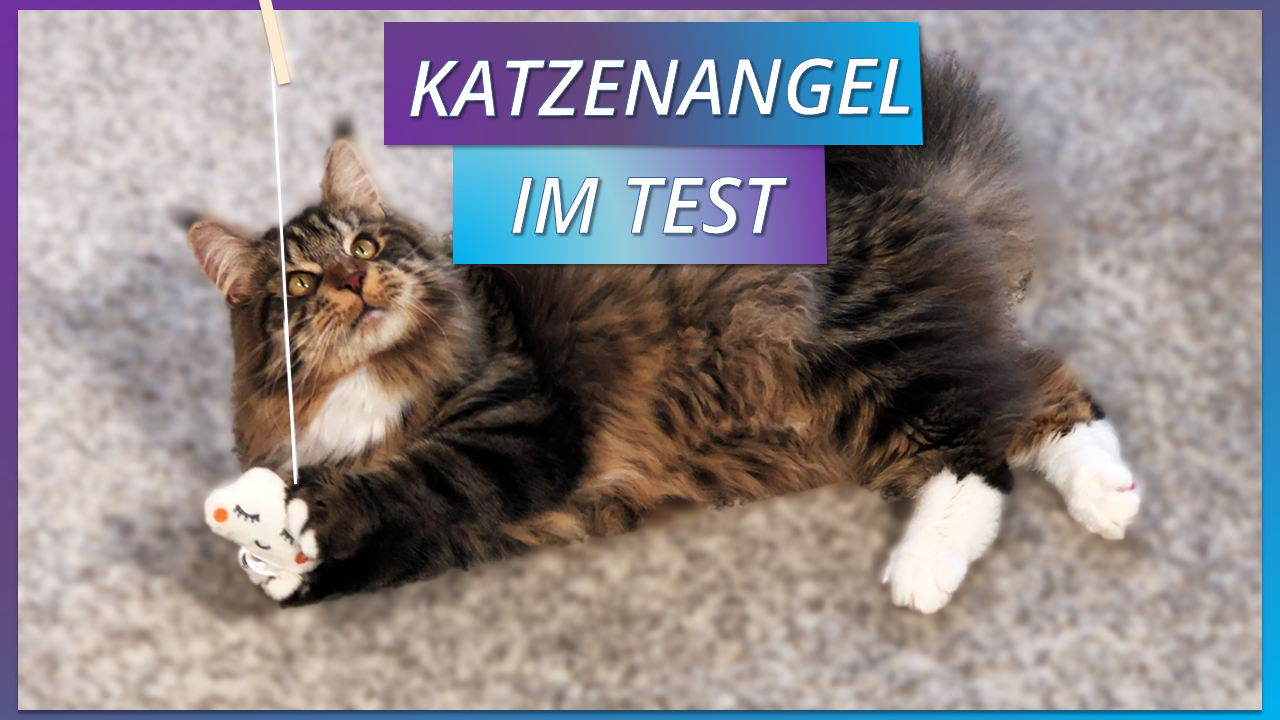 Katzenangel.png