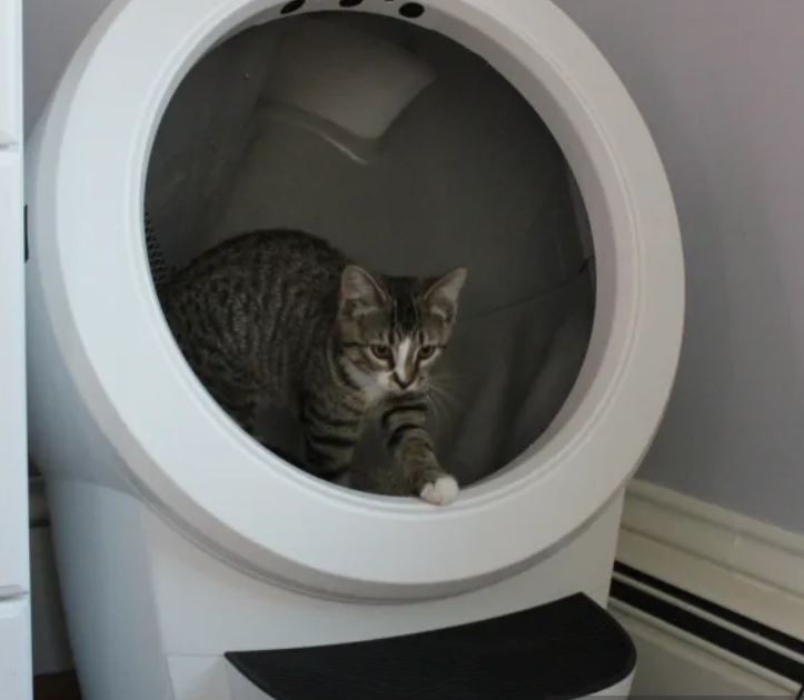 Litter Robot 5.JPG