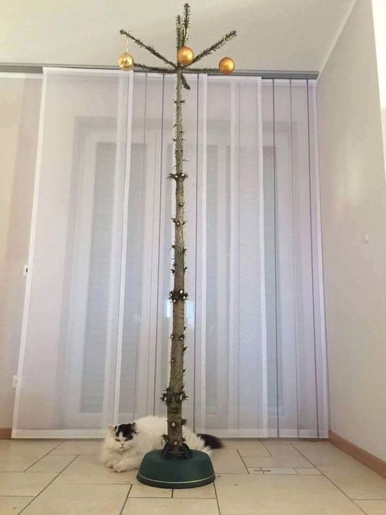 weihnachtsbaum.jpg