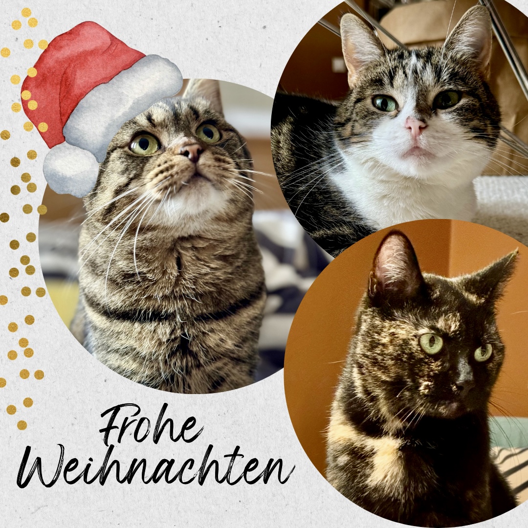 Weiß Schwarz Creme Minimalistisch Fotografisch Frohe Weihnachten Familie Instagram Post.png.jpeg