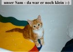 Baby Samklein.jpg