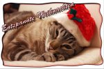 Weihnachtskarte_Katzenforum.jpg