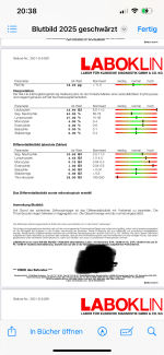 Blutbild 2025 geschwärzt 3:3.png