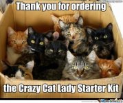 crazy-cat-lady_o_359258.jpg