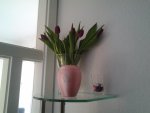 20130327_180517.jpg