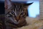 DSC06475_web_kater.jpg