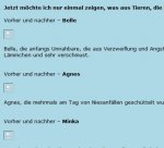 Bilder in Kazenforum-3.JPG