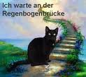 regenbogenbr u katze.jpg