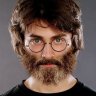 HairyPotter